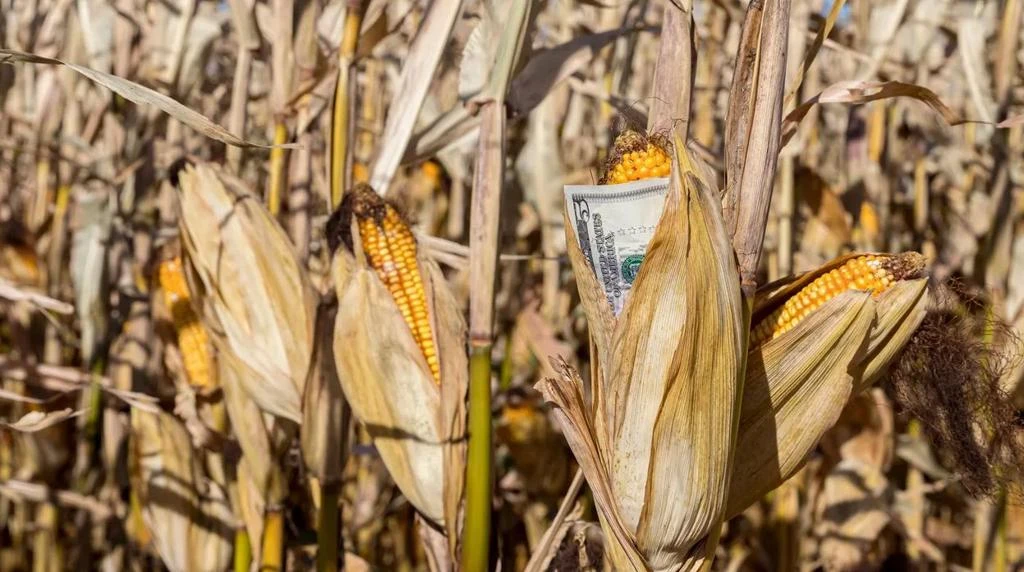 World: What is 45Z and how can a farm benefit