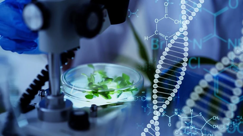 Nanotechnologia w rolnictwie. Nowy sposób na większe plony i bezpieczniejszą żywność