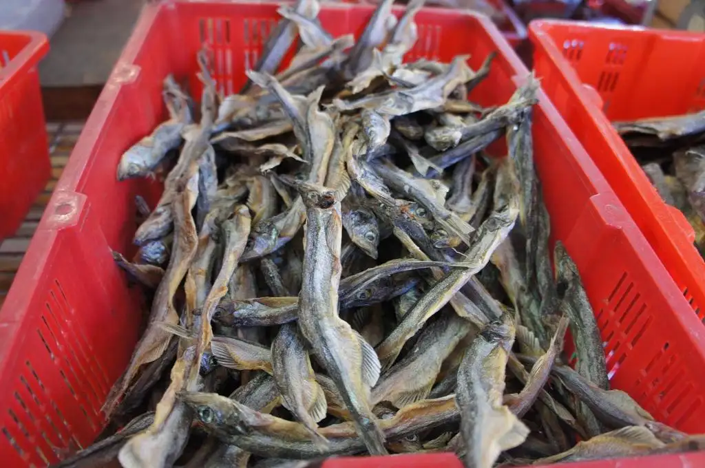 Ukraine Salted fish production