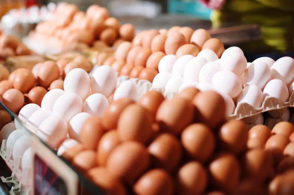 jajka_is6TZEx_cwz2jrs Ukrainian Egg Producer Secures Halal Certification