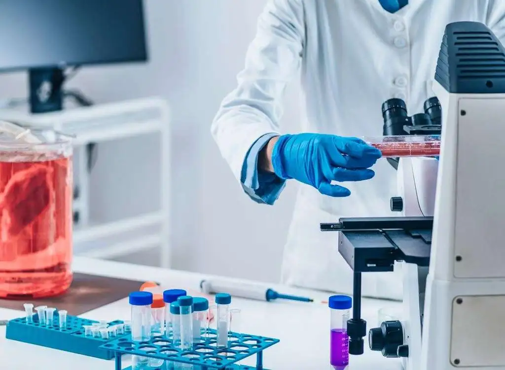 World Researchers are developing meat from immortal stem cells