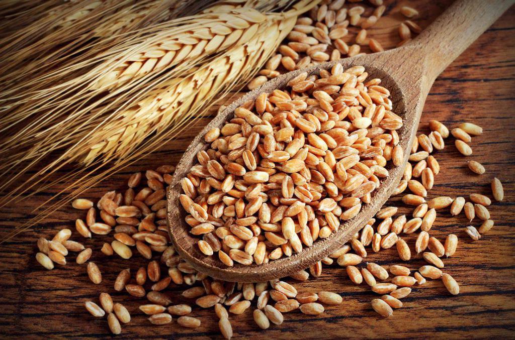 Polska Pszenica Orkisz Obj ta Dop at 